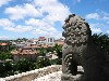 IMG_0485.JPG
