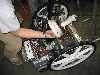 IMG_1256.JPG