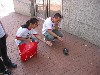 IMG_1275.JPG