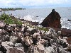 IMG_1345.JPG