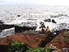 IMG_1346.JPG