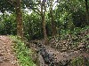 IMG_1363.JPG