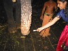 IMG_1390.JPG